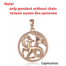 Zodiac Sign 12 Constellation Pendant Necklace 585 Rose Gold Color Horoscope Necklace Mens Chain Gift Fashion Jewelry GPM21