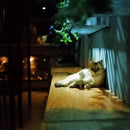 KODAK Gold 200 Color 35mm Film 36 Exposure Per Roll Fit For Kodak M35 / M38/Ultra F9 Camera