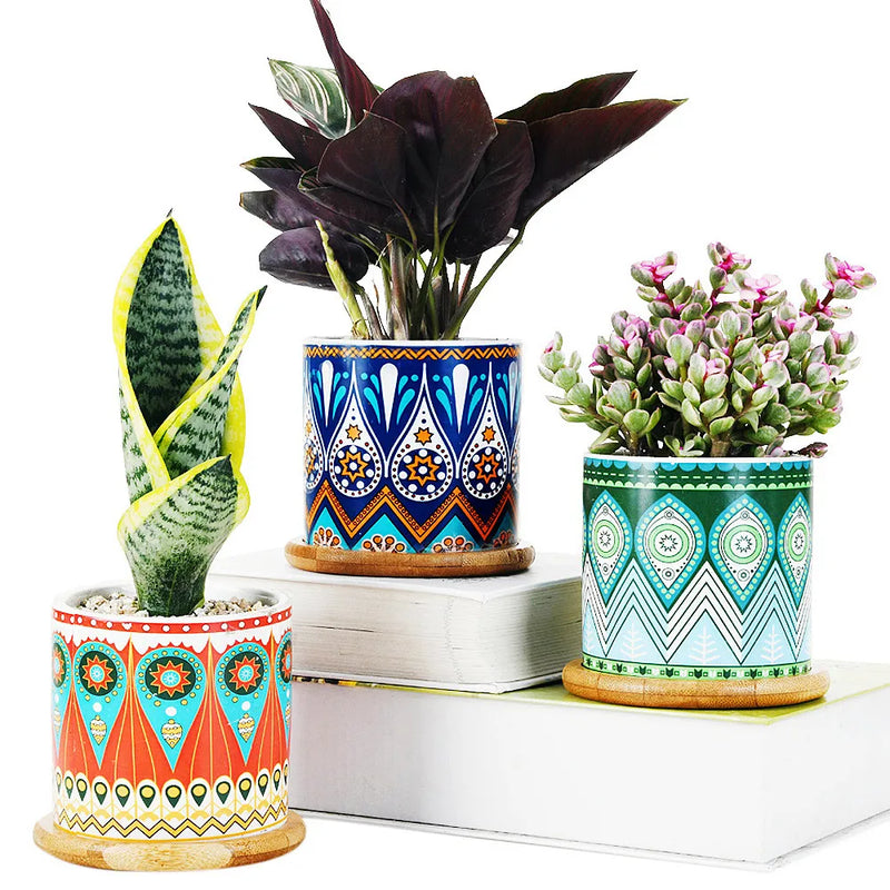 Set of 3 Succulent Plant Pots, 3.15 Inch Round Vases Cactus Ceramic Planters with Bamboo Trays & Drainage Hole Mandalas Pattern