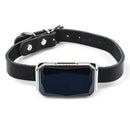 Waterproof Pet GPS Tracker System Locator CatS Dogs Puppy Adjustable Collar Real-Time Call Remote Control GPS Locator
