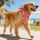 Dog Bandana Fruit Floral Spring Washable Soft Doggy Scarf Kerchief Summer Adjustable for Small Medium Large Dogs Pets