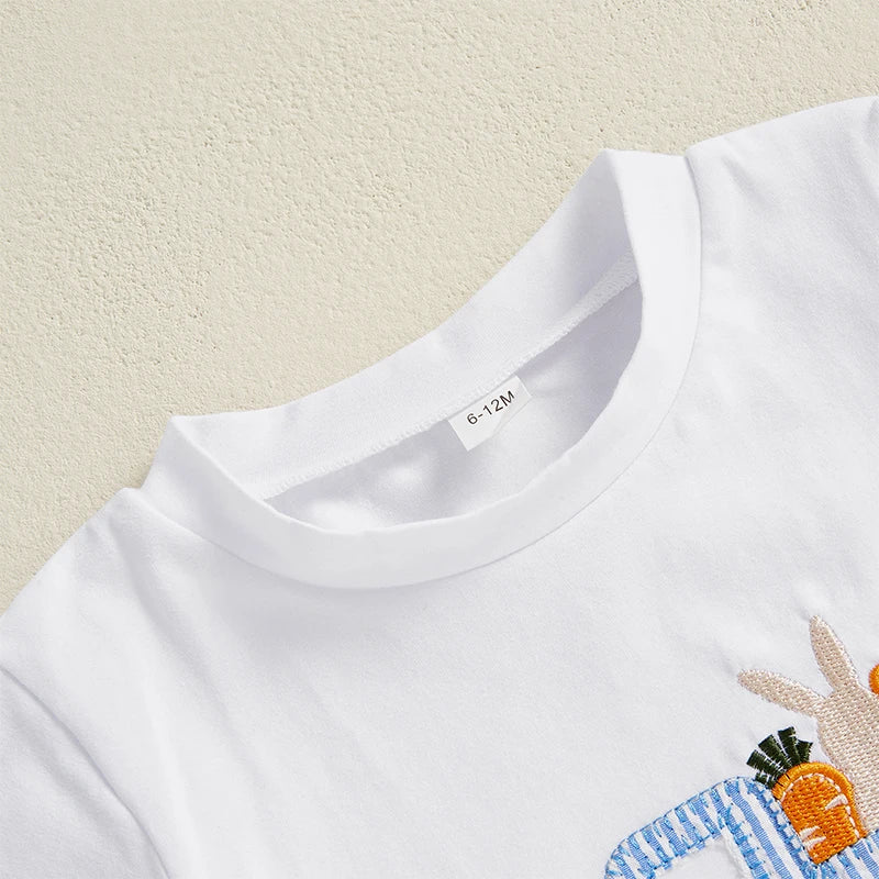 Summer Easter Kids Baby Boy Outfits Short Sleeve Embroidery T-Shirt + Shorts Set Fall Clothes Set