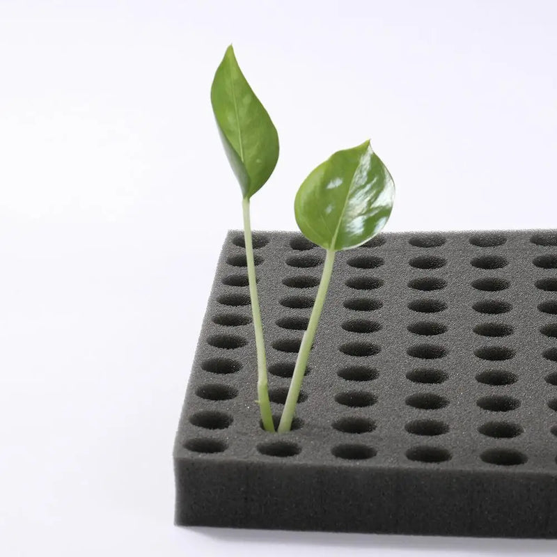 100PCS Seedling Sponge Soilless Dirt Resistant Medium Seedling Seed Square Growth Hydroponics Cube Foam Sponge Pots trays