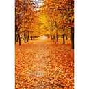 Autumn Landscape Backdrop Fall Forest Maple Fallen Leaves Nature Scenery Harvest Thanksgiving Portrait Photography Background