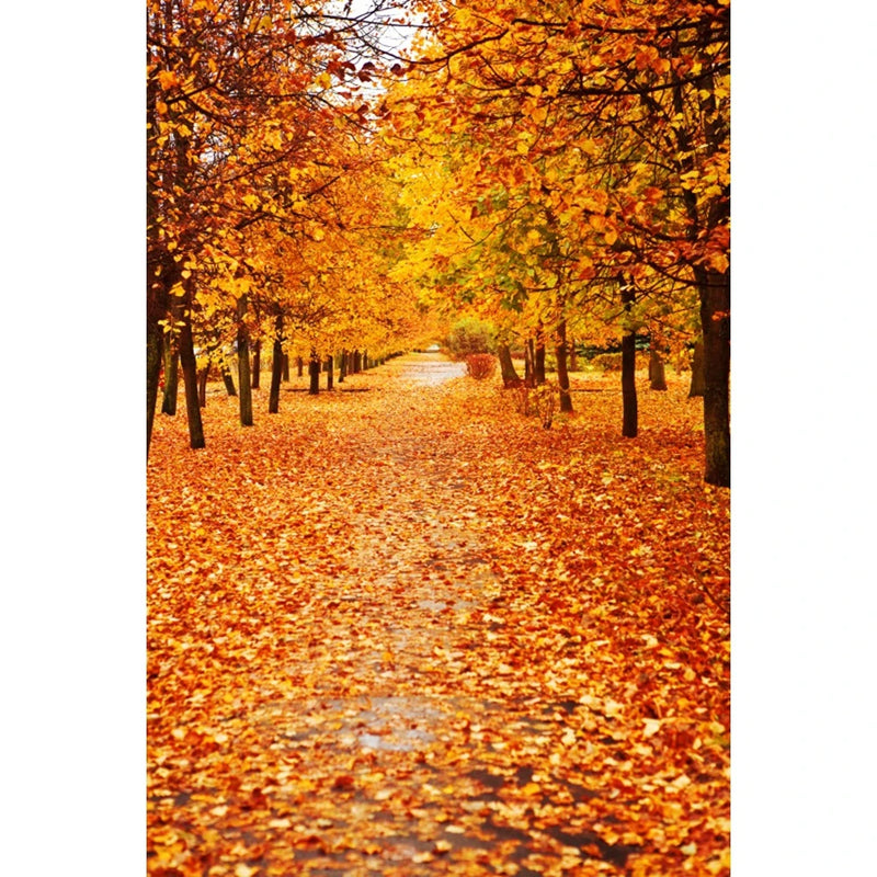Autumn Landscape Backdrop Fall Forest Maple Fallen Leaves Nature Scenery Harvest Thanksgiving Portrait Photography Background