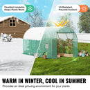 SucceBuy Walk-in Tunnel Greenhouse Hoop House Greenhouse Tunnel Plant House with Steel Frame Green PE Cover Roll-up Zipper Door
