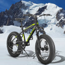 Ecarpat 20 Inch Kids' Bike, 4-Inch Wide Fat Tire Snow Mountain Bike, 7 Speed for Boys Girls Children Kids' Bicycles, Steel Frame