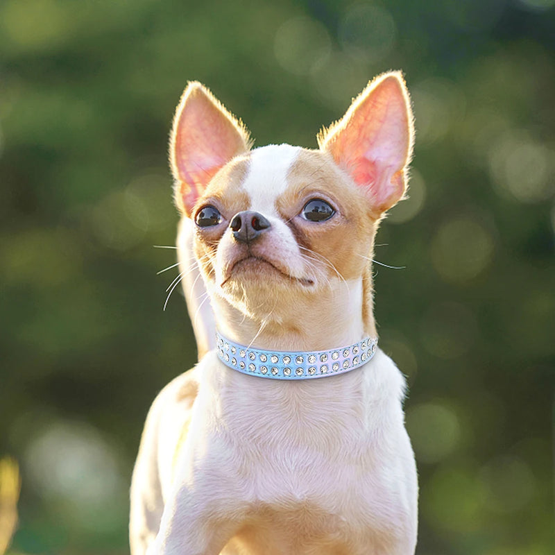 Rhinestone Dog Collar Shining Diamond Cat Dog Collars Crystal Glitter Puppy Pet Leather Necklace For Small Medium Dogs Chihuahua