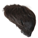 GNIMEGIL Synthetic Men's Wigs Dark Brown Short Straight Hair Wig Male Cosplay Halloween Costume Christmas Natural Fashion Style