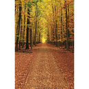 Autumn Landscape Backdrop Fall Forest Maple Fallen Leaves Nature Scenery Harvest Thanksgiving Portrait Photography Background