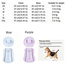 The Canine Current | UV-Protective Cooling Vest for Active Dogs & Cats