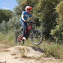 PULUMA PH001 Electric Bicycle 1000W Power Ebike 48V 20AH Battery 27.5*2.8 Inch Tire Off-road Electric Mountain Bike