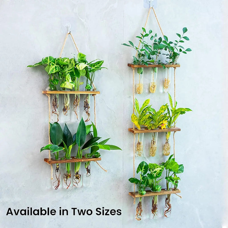 Wall Hanging Test Tube, Glass Planter Plant Vase with Wooden Stand & Strings Rope, Glass Planter Plant Terrarium  (2 layer)