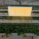 220W LED Grow Light Growing Lamp Commercial Indoor Plant Full Spectrum For Greenhouse Flower Plants Veg Dimmable