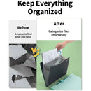 Expandable File Folder, Letter Size Organ Organizer, 5 File Pockets, Portable Organizer for School Office Supplies