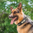 Personalized Dog Collar Durable Leather Dogs ID Collars With Anti-lost Name Tag Chain Accessories for Small Medium Large Dogs
