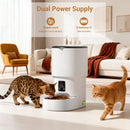 The Steward | 4L Programmable Automatic Pet Feeder