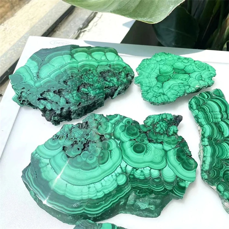 New product Natural Green Malachite Slices Polished Mineral Specimens Rough Quartz Crystal Sheeting Healing Stone Garden Decor