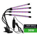 The Sunforge | Full-Spectrum USB LED Grow Light for Indoor Plants