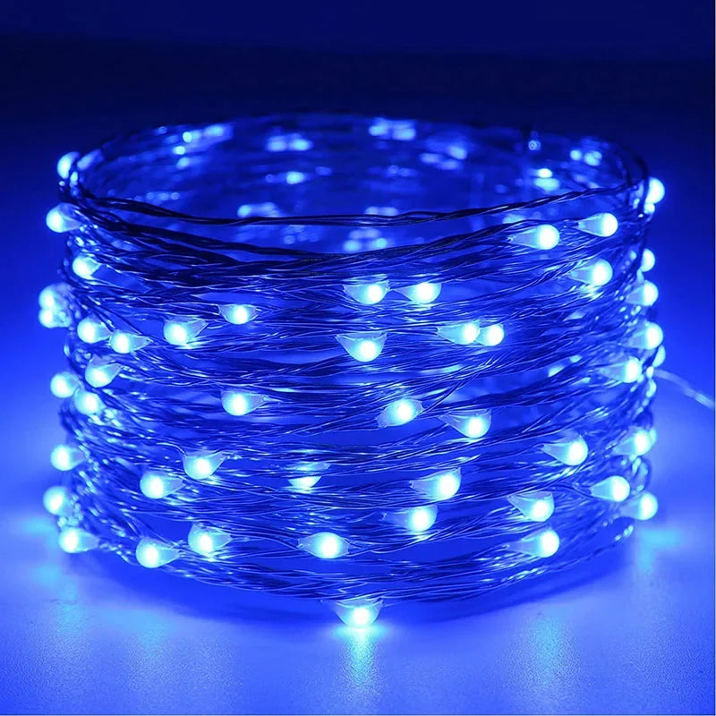 100/2M USB/Battery LED String Lights Waterproof Copper Wire Garland Fairy Lighting Strings Christmas Wedding Party Decor Lamps