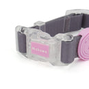 Transparent Buckle Collar Candy Color Pet Cat Dog Collars Leashes For Small Medium Dogs
