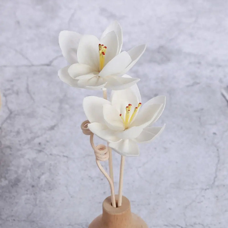 1PC Natural Dried Tongcao Flower Aromatherapy Oil Diffuser Sticks Air Freshener Rattan For Home Decoration