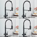 The Two Streams | Brass Kitchen Faucet with Dedicated Filter Tap and 360 Degree Pull-Down Spout