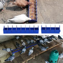 20cm/40cm Thickened Bird Pigeon Feeder Trough Chicken Food Fountain Bird Chick Feeding Bowl Slot Container Food Dispenser Tool