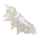 Japan Original Kawaii Gashapon Figure Anime Water Bear Figurine Tardigrade Cute Capsule Toys Miniature Doll Decor Gift