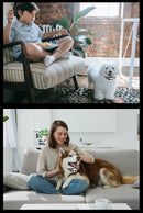 The Boundary Sentinel | Dual-Mode Wireless Pet Containment System