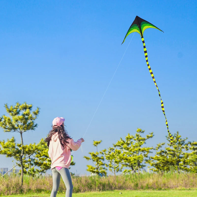 YongJian Large Delta Kite for Kids & Adults Easy to Fly Large Huge Delta Kite Come with 6m Tail Easy to Fly Kite Outdoor Toy