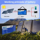 EASUN LiFePO4 Battery 12V 24V 100Ah 300Ah Lithium Iron Phosphate Battery Built-in BMS 6000+ Cyclic For Inverter Solar RV No Tax