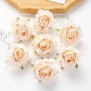 44534639984863|44534640017631|44534640050399