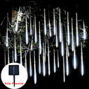 44534631891167|44534631923935