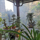 Transparent Waterproof Tarpaulin Garden Rainproof Clear Poly Tarp Plant Cover Insulation Shed Cloth with Grommets