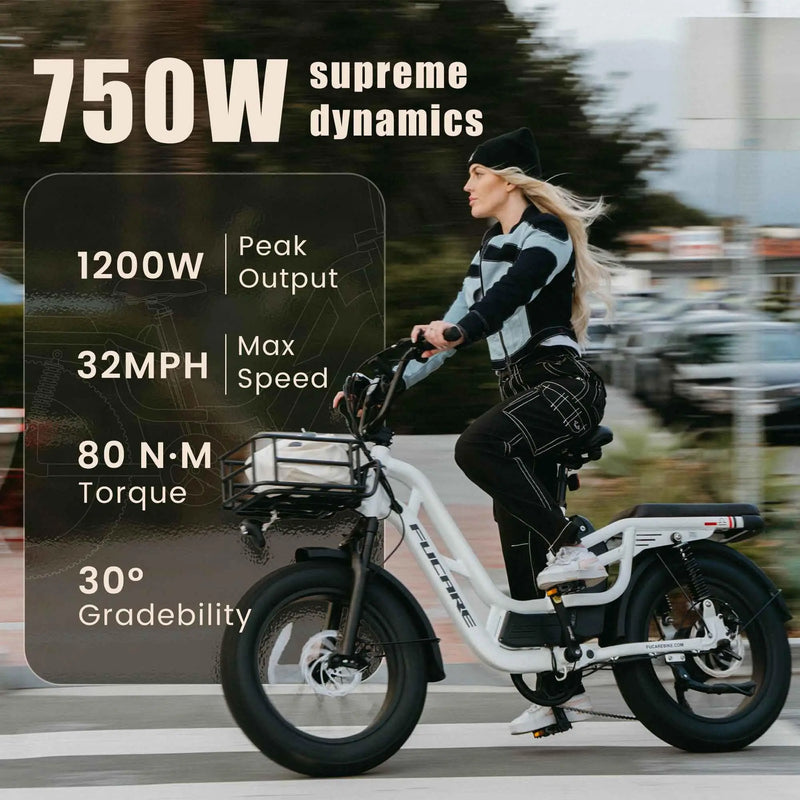 Electric Bike 48V 20AH 20*4.0 Inch Fat Tire Bike 750W Motor 7 Speed Electric Bicycle Mountain Bike For Adult Motorcycle Bicycle