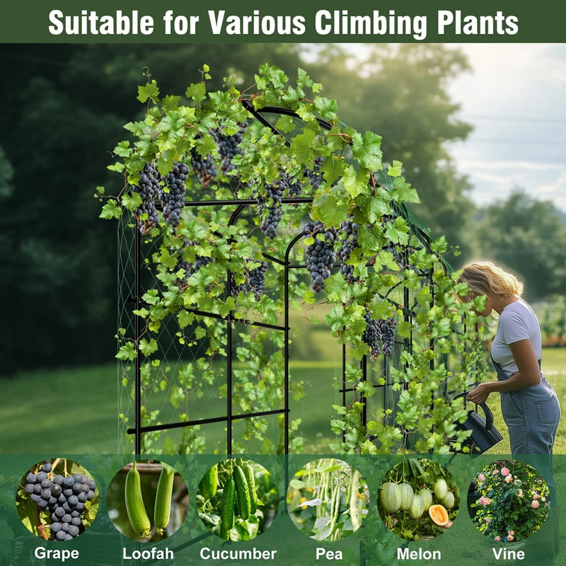 U-Shaped Metal Tall Garden Plant Trellis Grow Support Frame for Climbing Plants Vegetables