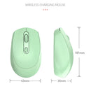 Rechargeable Bluetooth 5.2 Wireless Mouse 2.4G Optical Mice with USB RGB 1600DPI Mouse for Computer Laptop PC Mute Mause