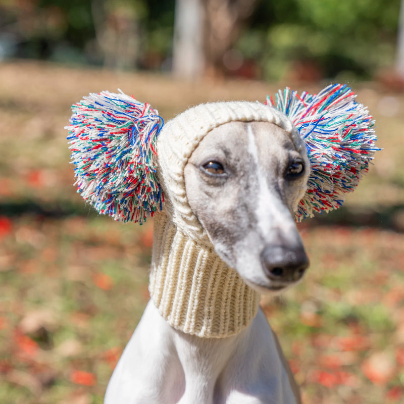 Italian Greyhound Whippet hat with fur ball pet hat in winter elastic wool puppy big dog hat