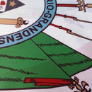 Flag of Rio Grande do Sul Brazil Brazilian State Banner 3X5FT 150X90CM Polyester Banner Material Object Photography Custom