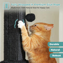 The Tall Timber | 81cm Natural Sisal Cat Scratching Post with Removable Toy