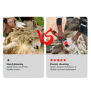 6 Speed 13 Teeth Plug in Electric Sheep Pet Hair Clipper Shearing Kit Shear Wool Cut Goat Pet Animal Shearing Supplies Farm Cut
