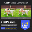 ANNKE C1200 Dual Light Outdoor PoE Surveillance Camera System 12MP Colour IR Night Vision CCTV Video Security Kits 2TB HDD