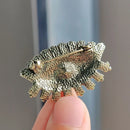 Turkish Evil Eye Green Crystal Baroque Brooches Pins For Women Zirconia Colorful Rhinestone Lable Pin Boho Lucky Jewelry