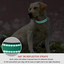 Reflektierendes Hundehalsband mit verstellbarem Sicherheits-Nylonband und Leine, geeignet für kleine und mittelgroße Haustiere