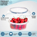 The Cold Archive | 12-Piece Sealed Refrigerator Storage Set