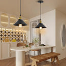 Retro Pendant Lights,E27 Black Metal Living Room Ceiling Lamps,Pendant Ceiling Light Lighting,Ceiling Lamp for Dining Room