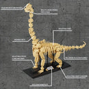 1225pcs 4in1 Jurassic Dinosaur Skeleton Fossil Building Blocks T-Rex Stegosaurus Triceratops Bricks Toys For Children Boy Gift