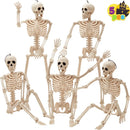 The Bone Chorus | Five-Piece Posable Skeleton Prop Set, 16-Inch