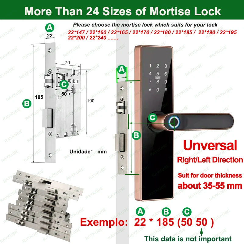 RAYKUBE H4 TT Lock Electronic Lock Bluetooth Smart Door Lock Fingerprint Lock Password IC Card Key For Smart Home